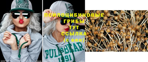 МДПВ Ладушкин
