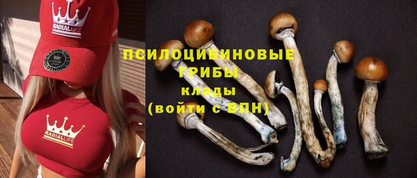 МДПВ Ладушкин