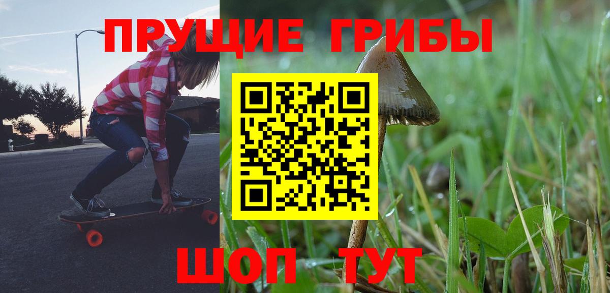 цена наркотик  Вход с VPN  Малгобек  Галлюциногенные грибы Magic Shrooms 
