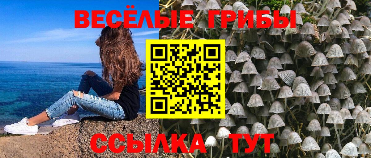 Псилоцибиновые грибы Magic Shrooms Малгобек